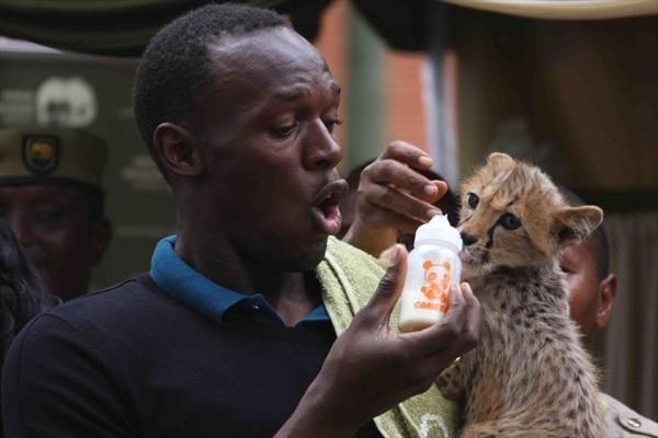 Usain Bolt Adopts A Cheetah From Kenya