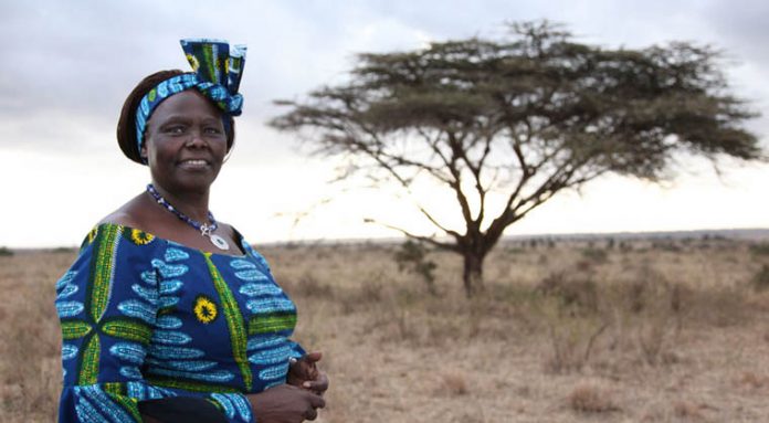 Prof Wangari Maathai