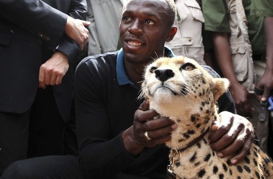 Usain Bolt Adopts A Cheetah From Kenya