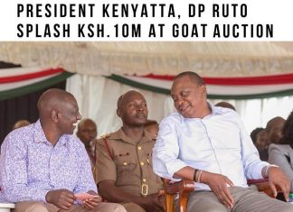President Uhuru Kenyatta and his Deputy Dr. William Ruto splash Ksh.10 million during the Kimalel goat auction Kajiado